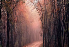 斯诺克球员锦标赛：丁俊晖一轮游，凯伦-威尔逊6.