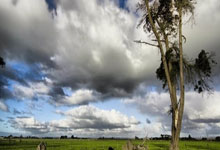 女排-王艺竹18分天津3-0第3胜 车文涵16分送上海第2败.