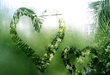 梅西妻子安东内拉晒照 红唇皮衣秀傲人曲线(图).