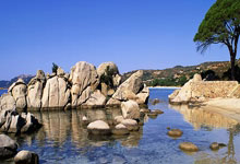 虎扑体育：丁威迪：东契奇是联盟最佳进攻球员，但不要表现得好像浓眉是垃圾.